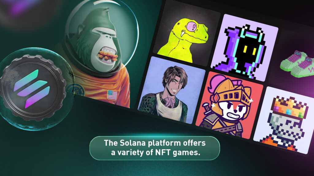A screenshot that shows some of the NFT collections on the Solana NFT platform